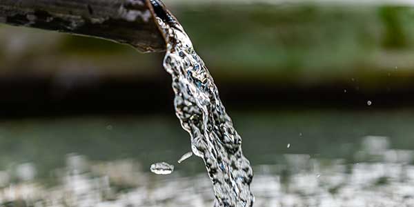 Water fountain with clean water.