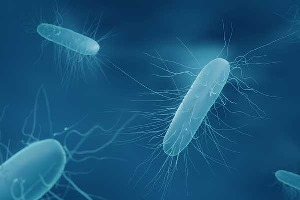 3d illustration of C.Diff bacteria.