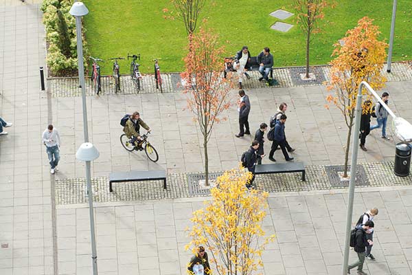 Aerial view of students on campus.