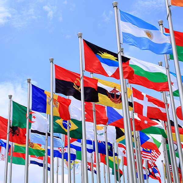 International flags on flags poles with a sky background.