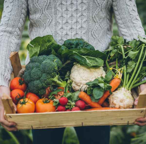 Person holding tray of vegetables