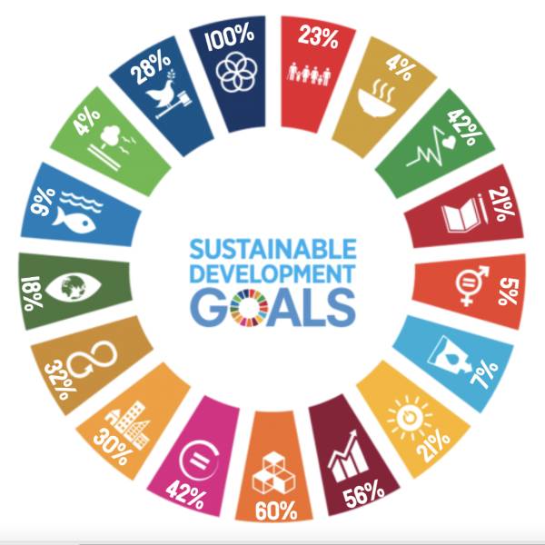 UN Sustainable Development Goals with Research Excellence Framework 2021 Impact