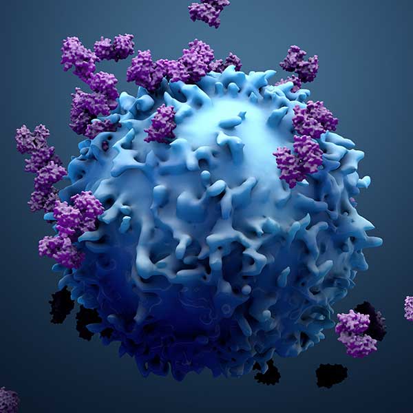 3D illustration of cancer cells.