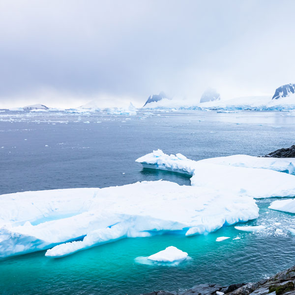 frozen landscape in Antarctica with icebergs, snow, mountains and glaciers, beautiful nature in Antarctic Peninsula with ice 