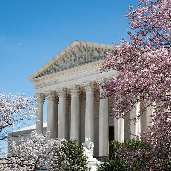 Cherry Blossom Season at the Supreme Court in Washington DC.