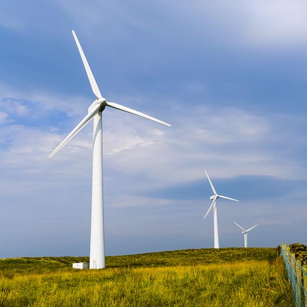 Picture of a wind farm with blue sky.