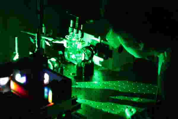 A scientist investigates a clamp on a work bench while green light filters through