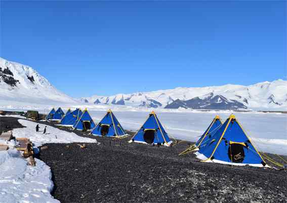 Blue tents in the snow