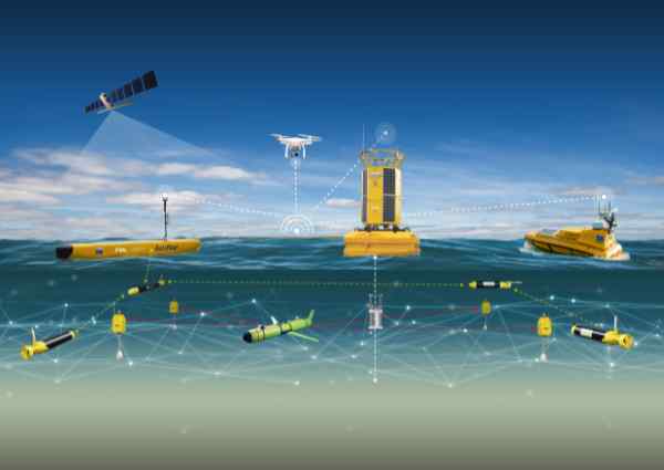 This image shows one of the data buoys and the fleet of ocean robots that support them