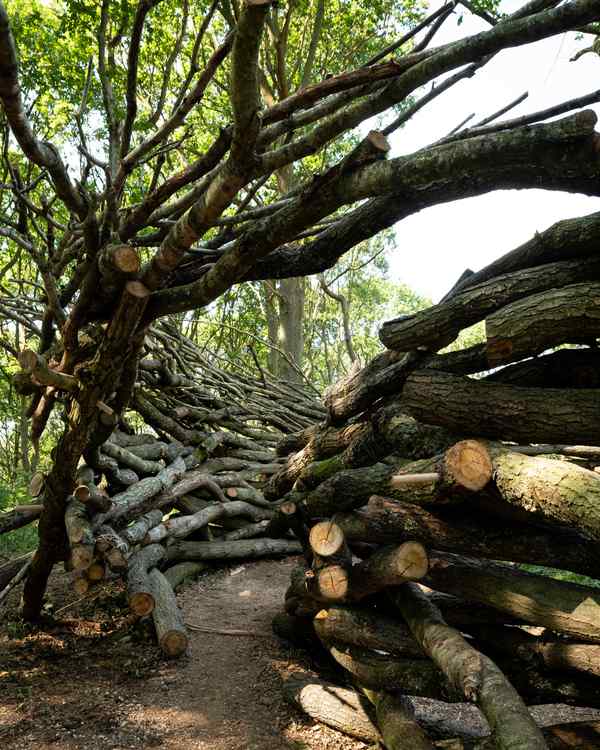 An archway of wood in a forest