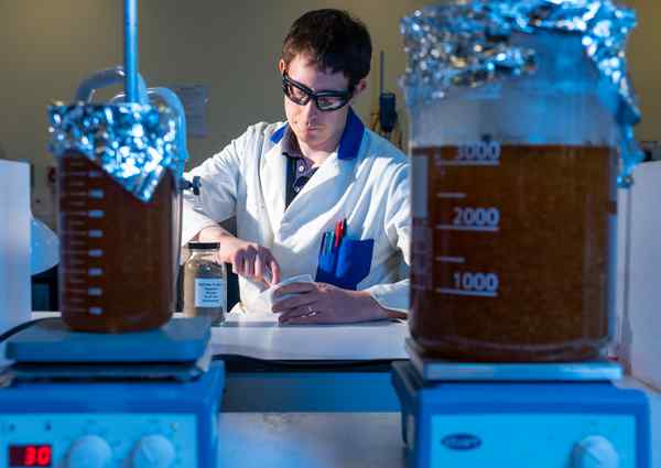 A scientist in a laboratory A scientist in a laboratory