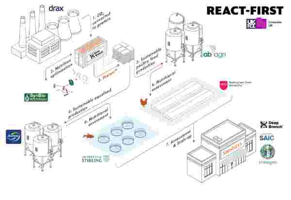 A diagram showing CO2 converting into a protein for animal feed A diagram showing CO2 converting into a protein for animal feed