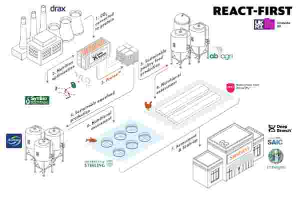 A diagram showing CO2 converting into a protein for animal feed