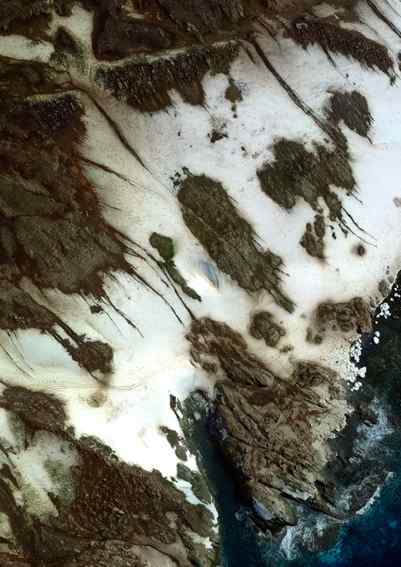 An aerial photograph of Heroina Island, host of over 500,000 Adlie penguins