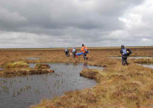 Four people wearing waterproofs walk through a wet bog area of moorland carrying bags of equipment