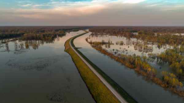 A raised road runs through a floodplain surrounded by submerged trees