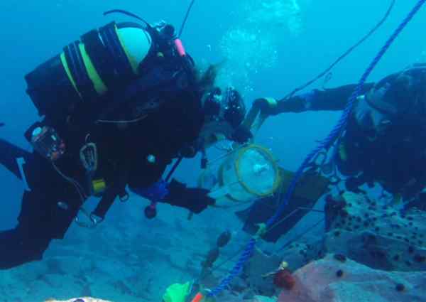 Two divers underwater operating the device