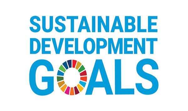 Sustainable Development Goals logo.