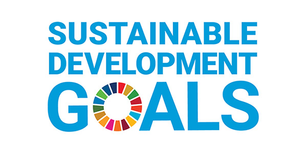 Sustainable Development Goals logo.