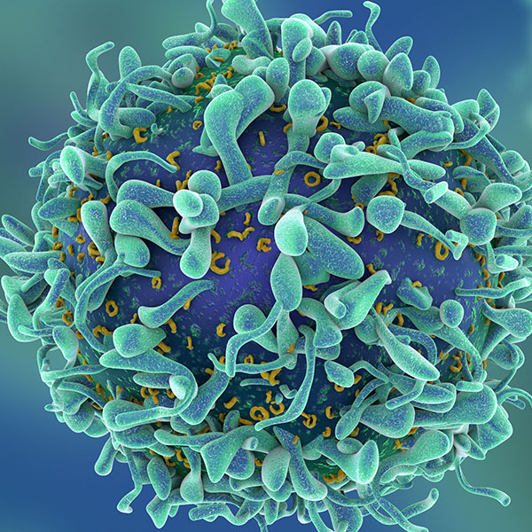 3d illustration of T cells or cancer cells330x330