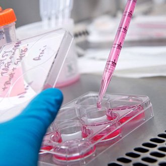 Biomedical test with pipette and petri dish, pink solution.