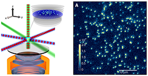 Quantum emulation and control over single atoms
