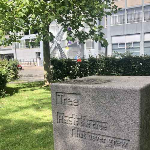 Tree Route Tree Route