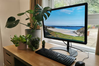 A computer screen at home, showing a beach in Scotland, next to some house plants. 
