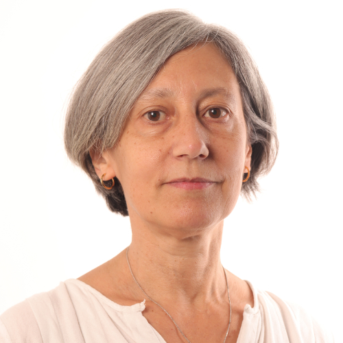 Headshot of Professor Gabriela Gomes