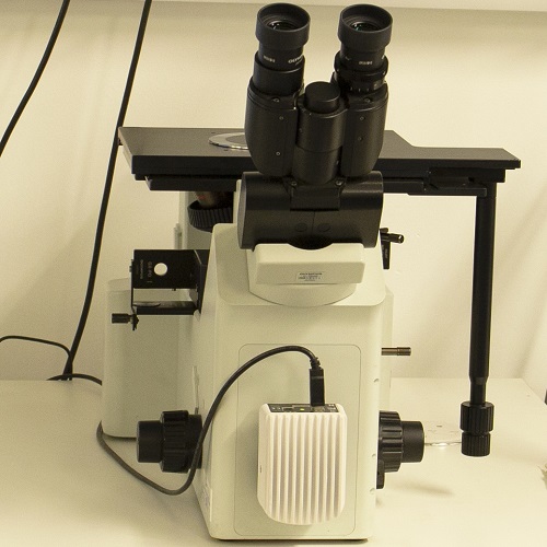 Optical microscope