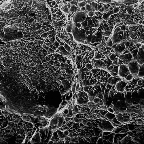 Scanning Electron Microscope showing dimple rupture