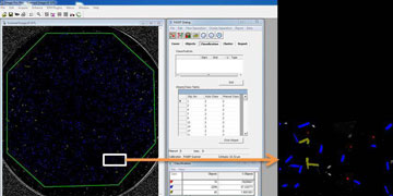 PC screenshot showing how fibre length analysis software detects fibres and contamination to produce a length distribution