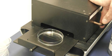 A petri dish containing fibres for length distribution analysis is loaded into the darkfield box for analysis