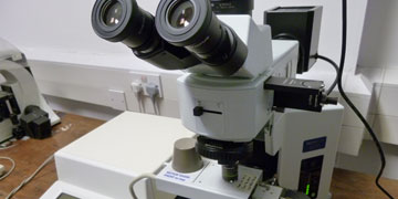 The hot stage optical microscope from our lab is shown