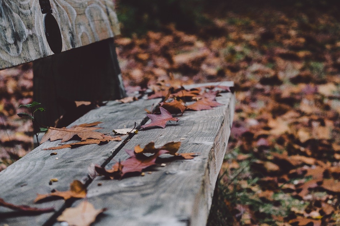 bench leaves