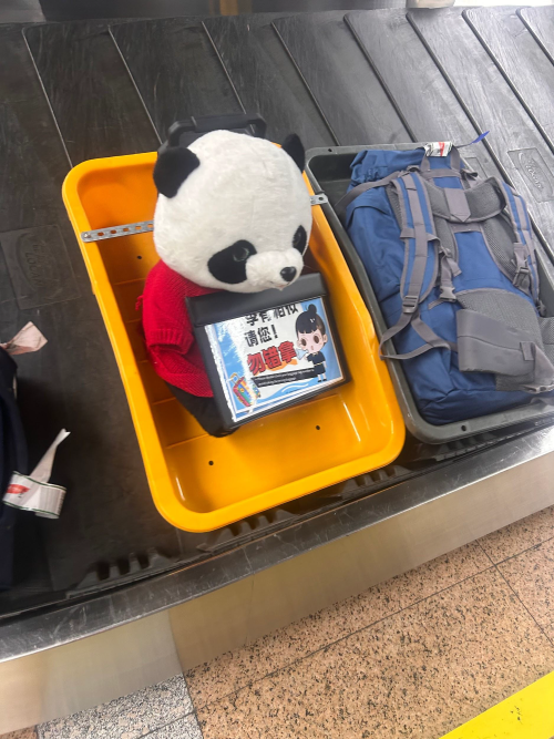 Airport panda