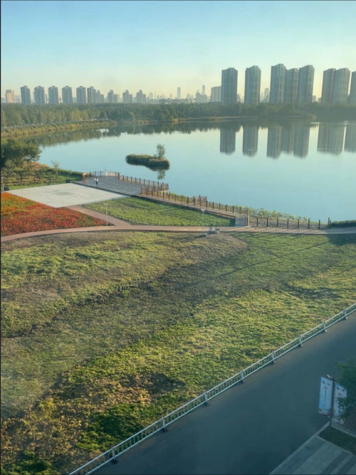 View from dorm window