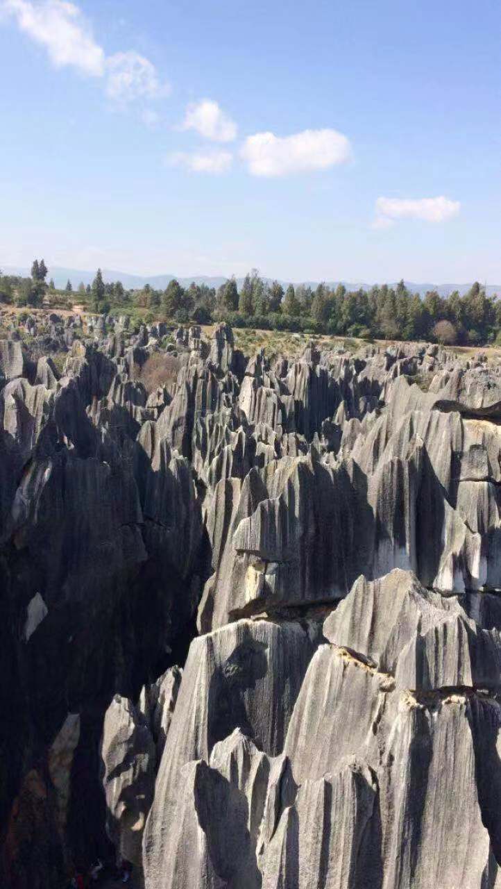 Large stones all together like a forest