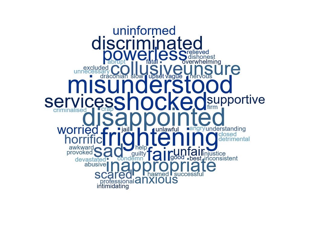 CYCJ word cloud CYCJ word cloud