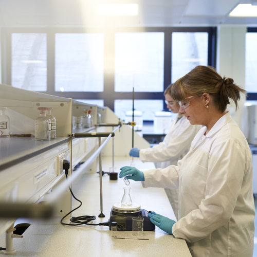 Students in Chemistry lab