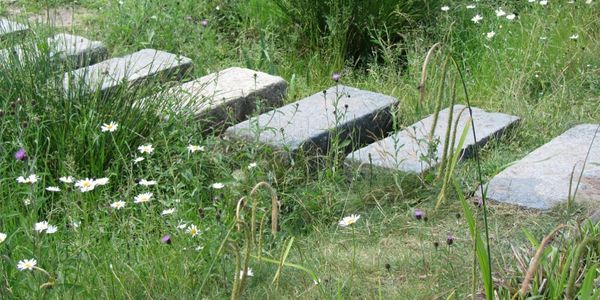 Rain gardens