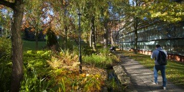 A student walking along a path lined by autumnal trees and a university building